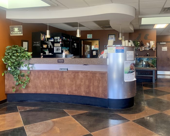 About Brogli, Lane, Weaver & Alexander Animal Hospital