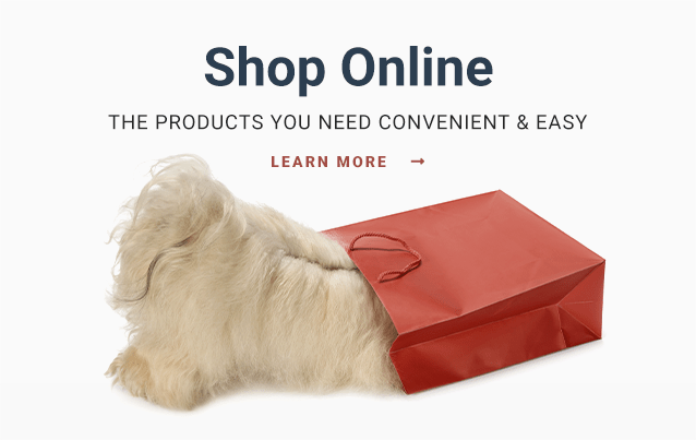Shop for Pet Products Online